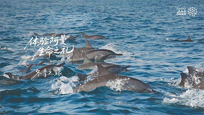体验阿曼，生命之礼 - 冬季探访正当时