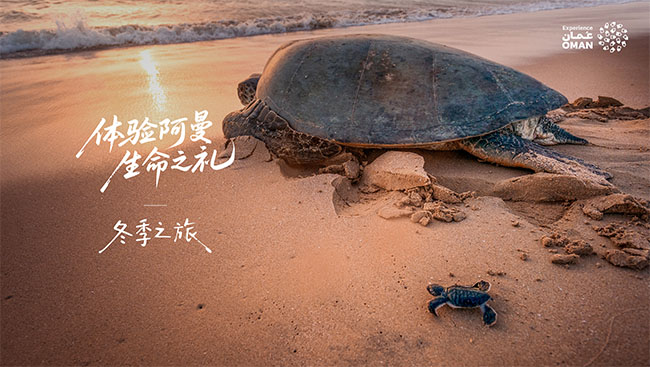 体验阿曼，生命之礼 - 冬季探访正当时